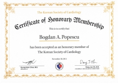 Honorary member Korean Society of Cardiology